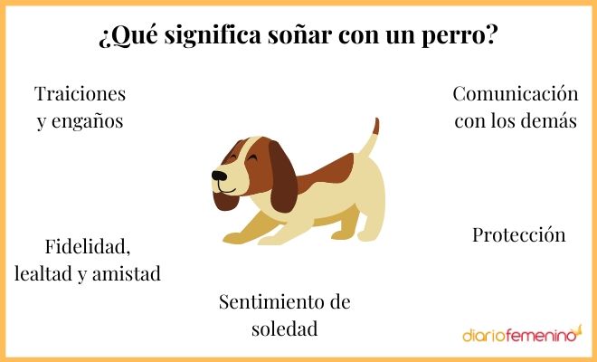 El sueño de mi perro fallecido