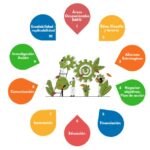 Estrategias eficientes para terapia ocupacional psicológica