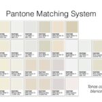 Explorando color hueso Pantone Paleta perfecta