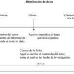 Ficha de síntesis resumen y organización eficiente de información