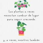 Frases inspiradoras de plantas para reflexionar