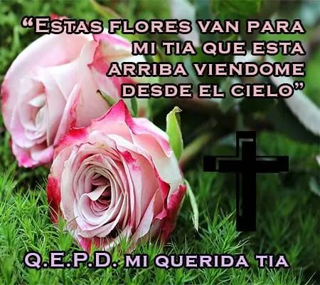 Frases para mi querida tía fallecida