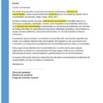 Guía para redacción de referencia personal