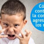 Imitación y agresión La influencia de los modelos