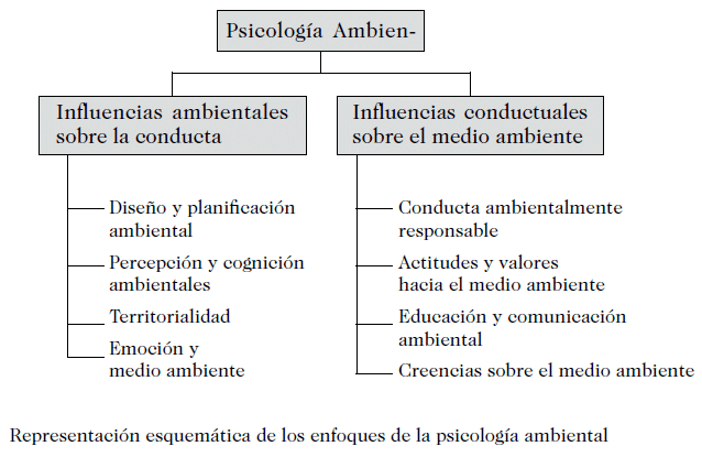 Interacción social y comportamiento ambiental