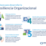 Liderazgo en la resiliencia claves para el éxito