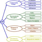 Mediciones clave en subpruebas del WISC IV