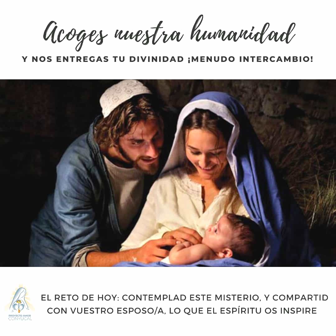 Nacemos para la eternidad El misterio de la vida