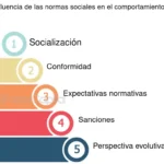 Normas culturales y comportamiento humano su impacto