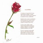 Poema breve 4 estrofas de profunda belleza