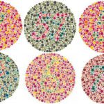 Prueba de Daltonismo Identificación precisa de deficiencia visual