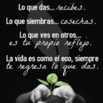 Recibir lo que das una reflexión profunda