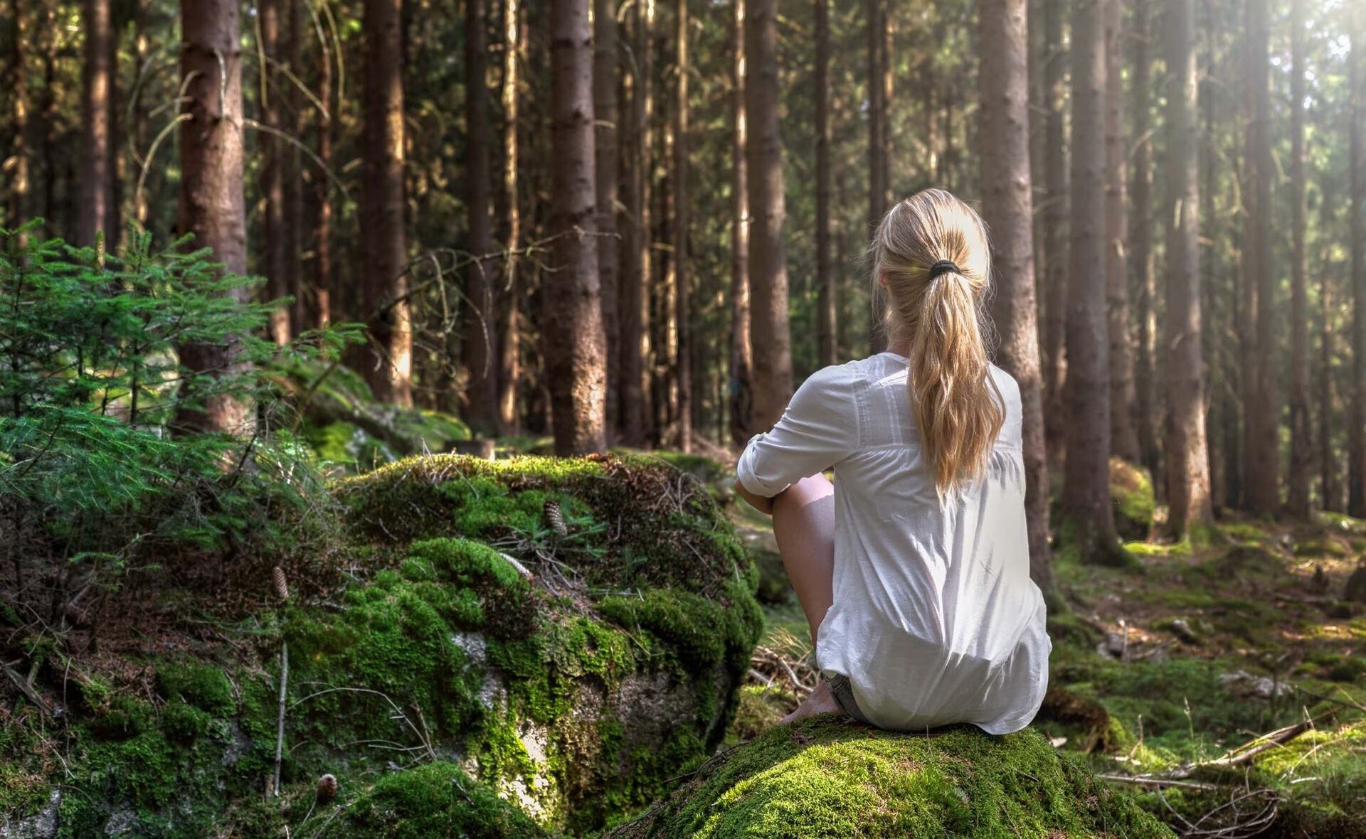 Reduciendo ansiedad y estrés El poder de la naturaleza