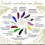 Significado simbólico de la pluma marrón y blanca