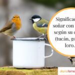 Soñando con un pájaro amigable
