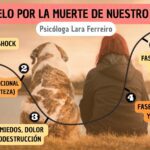 Superando la pérdida Afrontando la muerte de tu perro