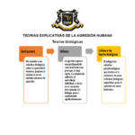 Teorías de la agresión humana explicación breve