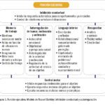 Terapia de autorregulación solución eficaz para el TDAH