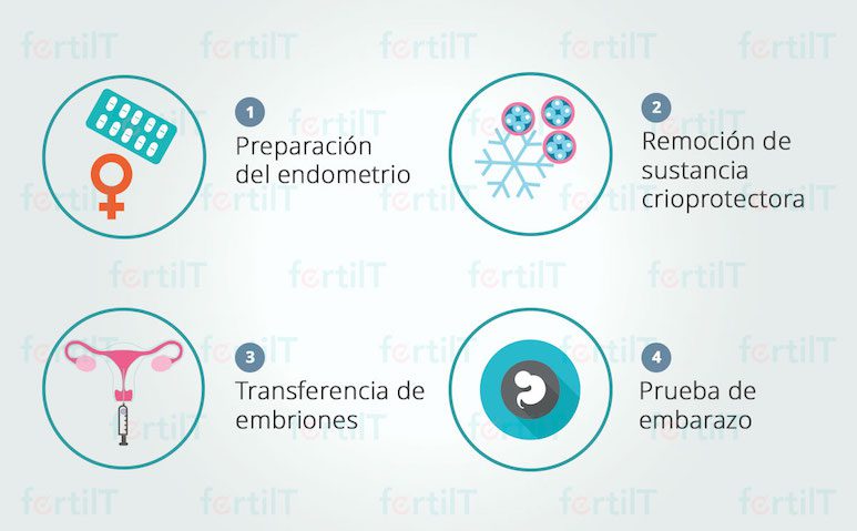 Terapia de pareja para adopción de embriones