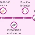 Terapia de Pareja para Decisión de Adopción de Óvulos