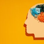 Trastorno bipolar impacto en la vida diaria