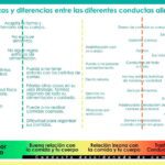 Trastorno vs desorden alimenticio Diferencias y similitudes